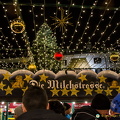 Christmas lights in the Altstadt (1521 visits) Christmas lights and market in Innsbruck Altstadt Christmas lights in the Altstadt